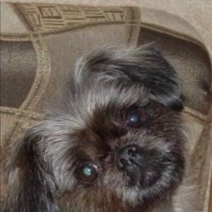 Meet your Posher, Anita